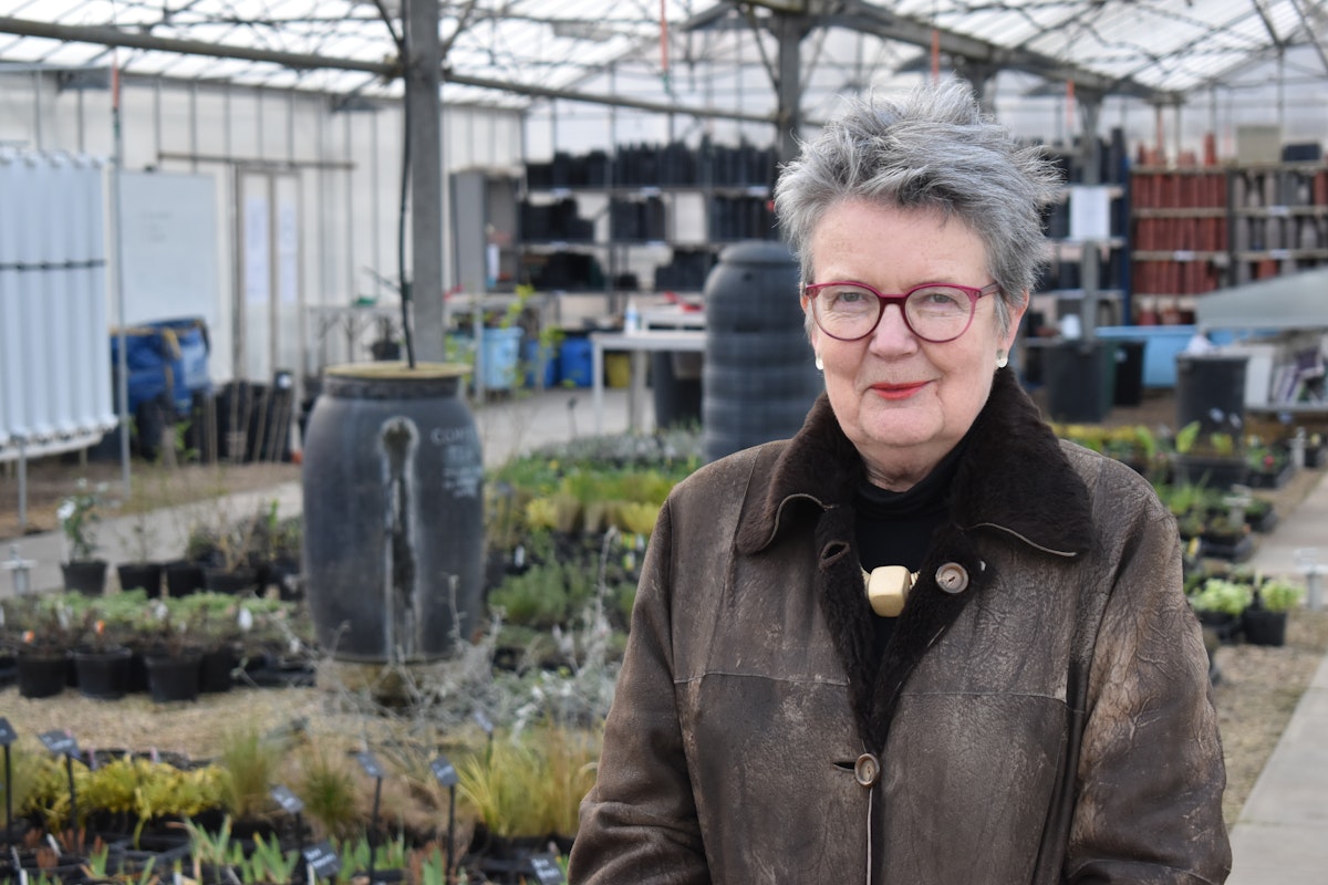 Jenny Taylor at the Suffolk Rural College greenhouses